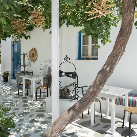 Apartamento Politimis N2 *